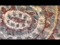 Carrizo Plain Pictographs - California