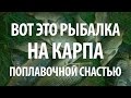 ЛОВЛЯ КАРПА НА ПРУДУ - ПОПЛАВОЧНАЯ ОСНАСТКА НА КАРПА