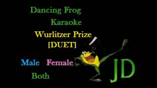 Willie Nelson & Norah Jones - Wurlitzer Prize (Karaoke) - Dancing Frog Karaoke