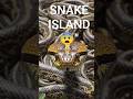This Island is Full of Deadly Snakes 😨"#shorts #facts #science #viral