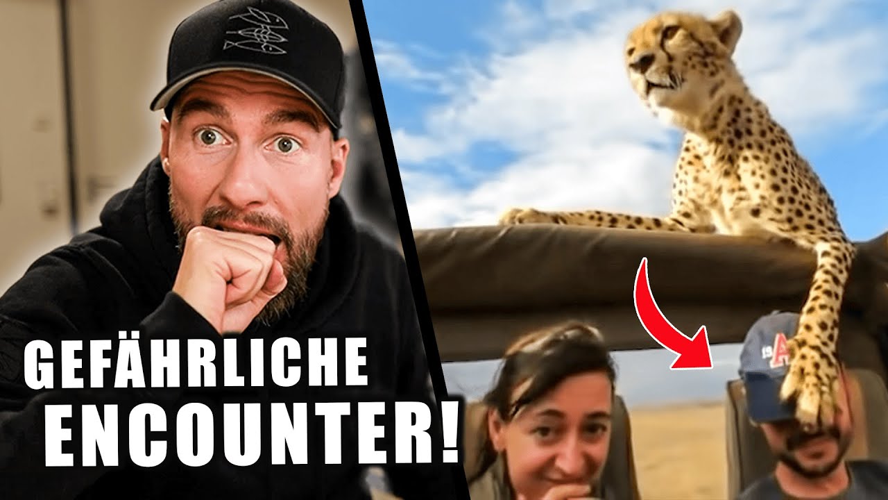 Seid ihr wahnsinnig? - Gefährliche Begegnungen mit WILDEN Tieren! | Robert Marc Lehmann