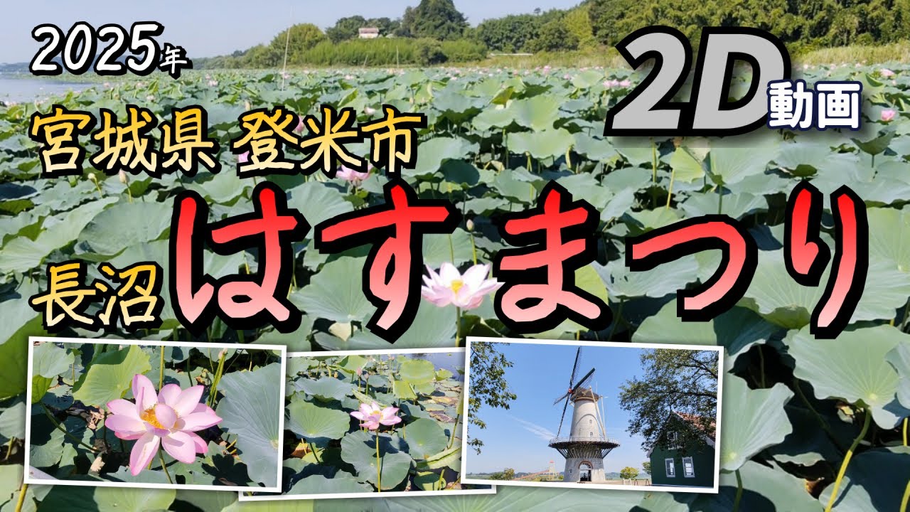 【2D動画 / 2D Video】2025年 宮城県 登米市 長沼 はすまつり オランダ風車【宮城県 登米市 迫町 2025年07月29日】
