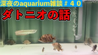 120水槽立ち上げから水が汚い・・初の本格餌やり！ダトニオトーク　深夜のアクアリウム雑談＃40