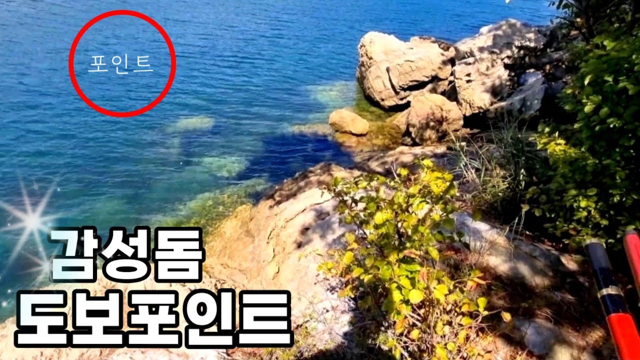 산속에숨겨진 감성돔도보포인트