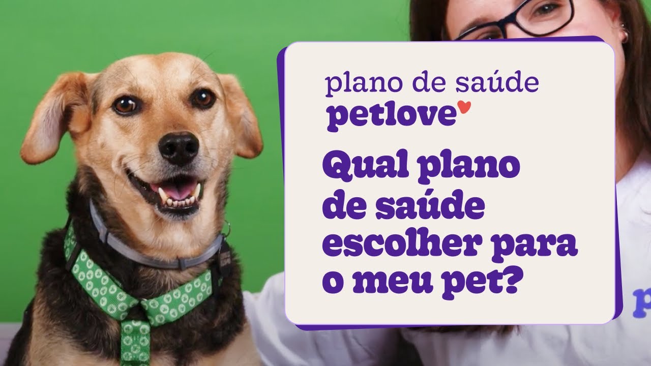 Como funciona o Plano para Cachorro?