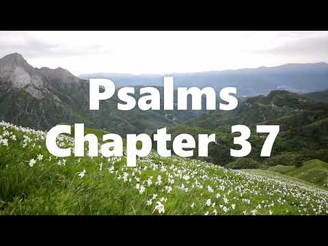 The Book of Psalms Chapter 37 - New King James Version (NKJV) - Audio Bible