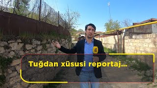 Tuğdan xüsusi reportaj…