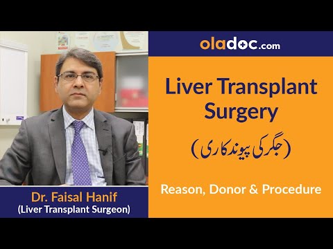 What is Liver Transplant Kya Hai Urdu Hindi | Jigar Ki Bemari Aur Ilaj | How to Treat Liver Disease thumbnail image