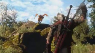 The Witcher 3 - Royal Wyvern Fight [No Damage Taken]