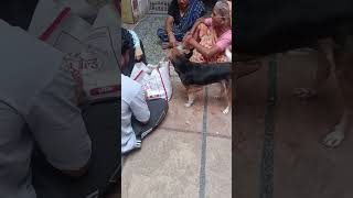 pillu bade khata h chor jaldi subh aa jate h balti chor