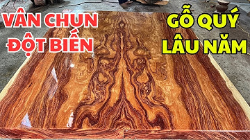 🟢ĐỘC NHẤT Sập Chiếu Ngựa Gỗ Cẩm Lai Vân Chun Đối Xứng Hiếm Có| CN2000- Gỗ Việt Bắc