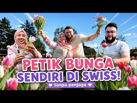 Ladang Bunga di Swiss Ini Bisa Dipetik TANPA PENJAGA – Bayar Sendiri! Kehidupan di Swiss