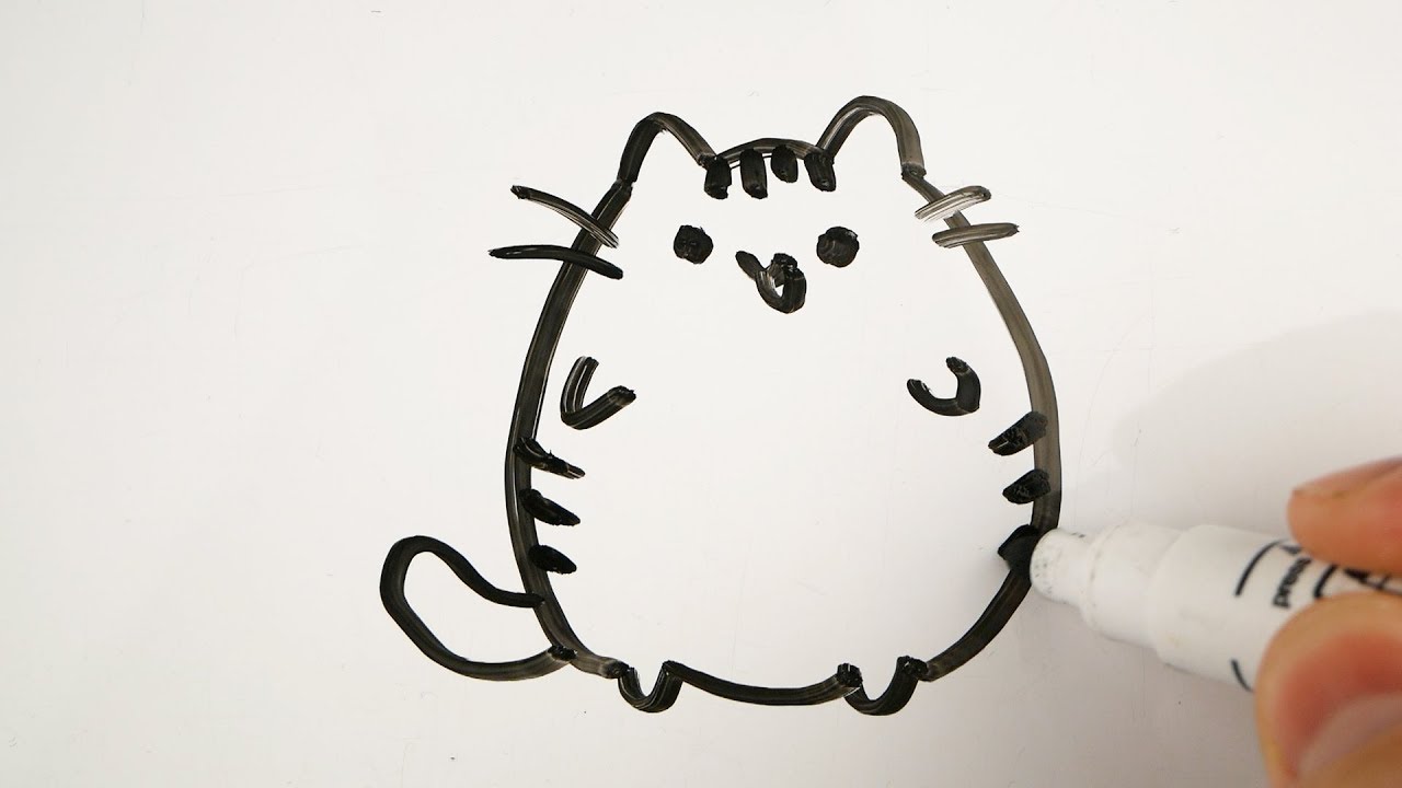 How to Draw Simple Cute Cat Easy | Drawing Animals on a Whiteboard