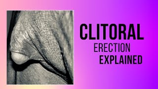 What Is Clitoral Erection ▶ | Clitoral Erection Must See!