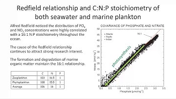 EMSC1006 W11 Lecture Oceans Carbon Cycle