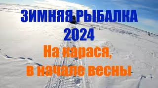 Зимняя рыбалка 2024. Мартовский  карась, на Салтаиме.