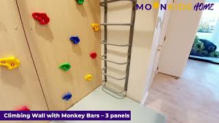 CLI60   Climbing Wall with Monkey Bars – 3 panels