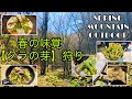 【OUTDOOR】春の味覚山菜。天然タラの芽狩り⇒新鮮なうちに食す‼