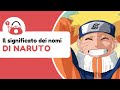 Cosa significano i nomi e i termini di NARUTO in GIAPPONESE