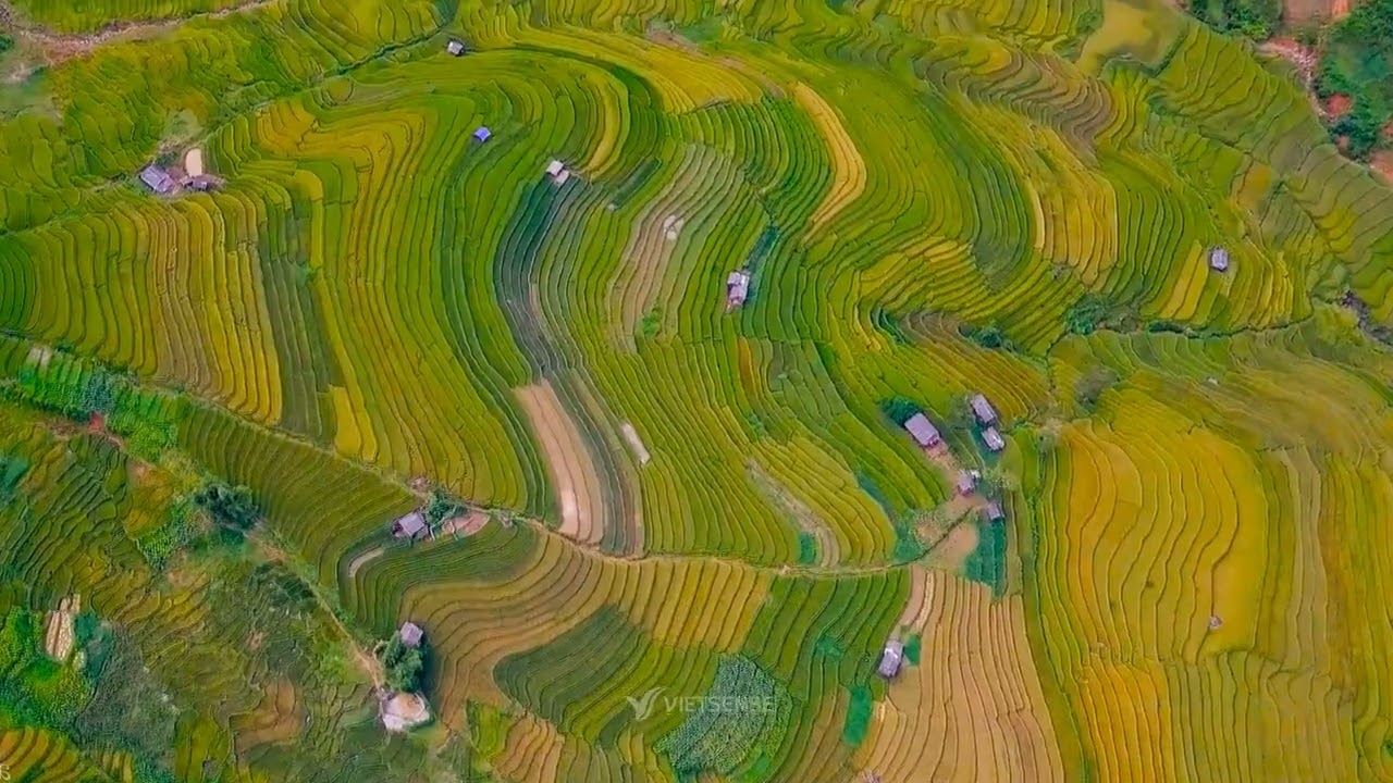 Mù Căng Chải - Vẻ Đẹp Ruộng Bậc Thang Tây Bắc