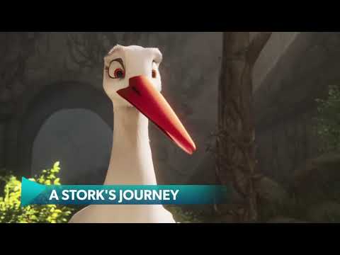 Stork Journey – Bak Şu Leyleğe | Tivibu