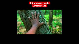 Itna sundar jungle #relatable #nature #viral #cinematicshorts