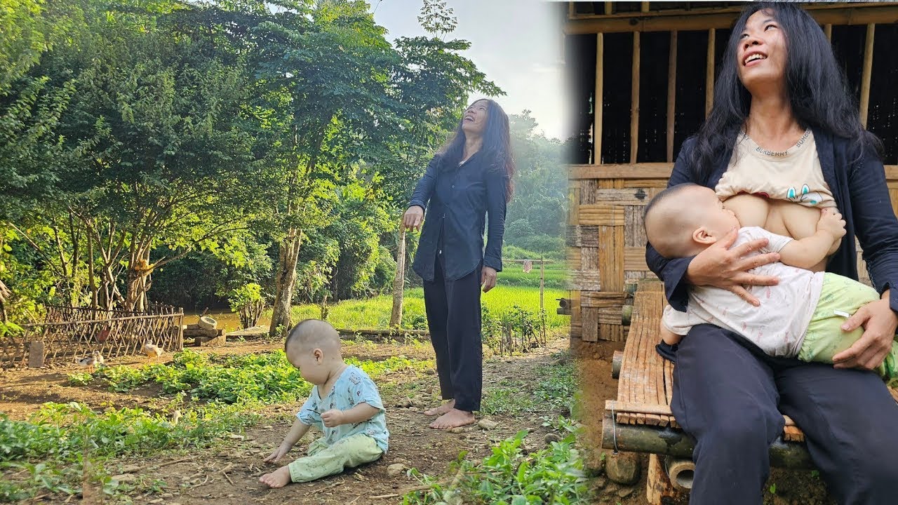 18-Year-Old Single Mother | A Strange Woman Lost in the Forest & the Hidden Danger of Wild Fruits