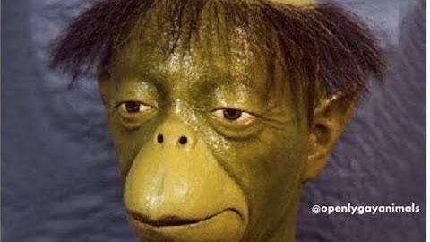 S-TAC DAYTAGE | MULTI ACTION @PzRessy