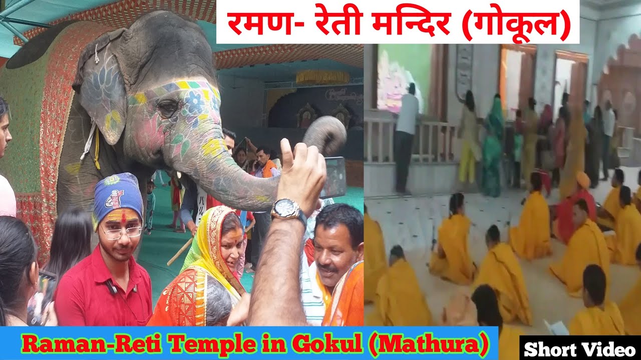 Raman-Reti Temple in Gokul || गोकूल का रमन रेती मन्दिर 💥Short video💥 ...