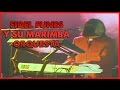 Fidel Funes y su Marimba Orquesta - Concierto De Plata