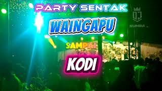 🔰🌴PARTY WAINGAPU SAMPAI KODI 🌴🔰❤️💃 #djsumba #remix #dj2025 #lagupestatimur 