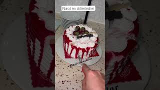 Nasıl Mı Dilimledim