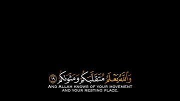 تلاوة هادئة وقصيرة  || القارئ : رعد الكردي || سورة : محمد 🌷💚🌷