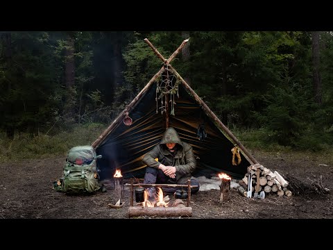 Video: Gjeddeterine Med Skogssopp