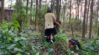 A masked man attacks a girl in the woods