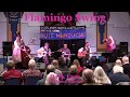 Les Yeux Noirs - Flamingo Swing Live, Bute 2019