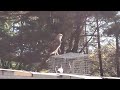 Adjustments : Roller pigeon - Hawk 2022