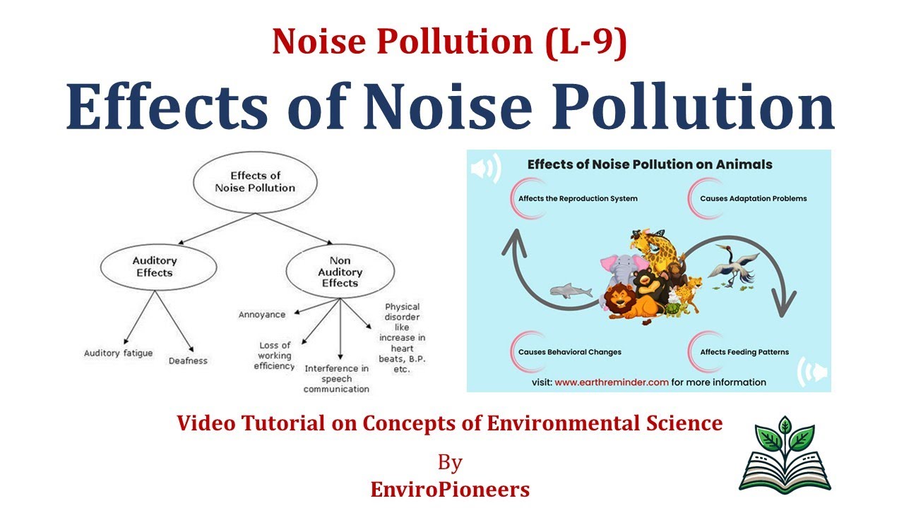 Noise Pollution L-9: Effects of Noise Pollution on Humans and Wildlife ...