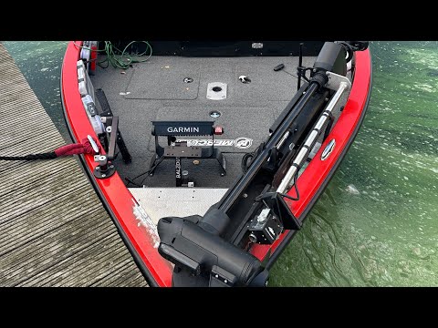 Panoptix Perspective. Особенность установки и использования.