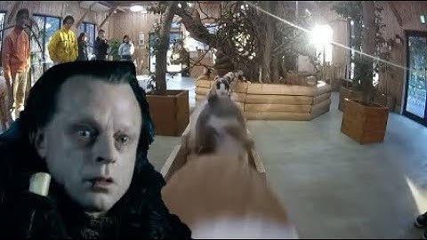 But my Lord there is no such force