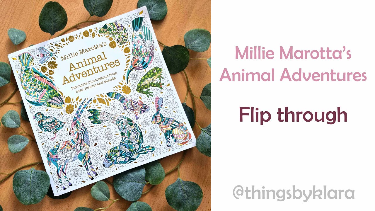 Millie Marotta's Animal Adventures - Flip through