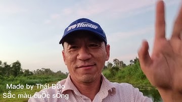 Câu cá lóc U Minh thương. Tập 1: Mối tình sâu đậm của tôi