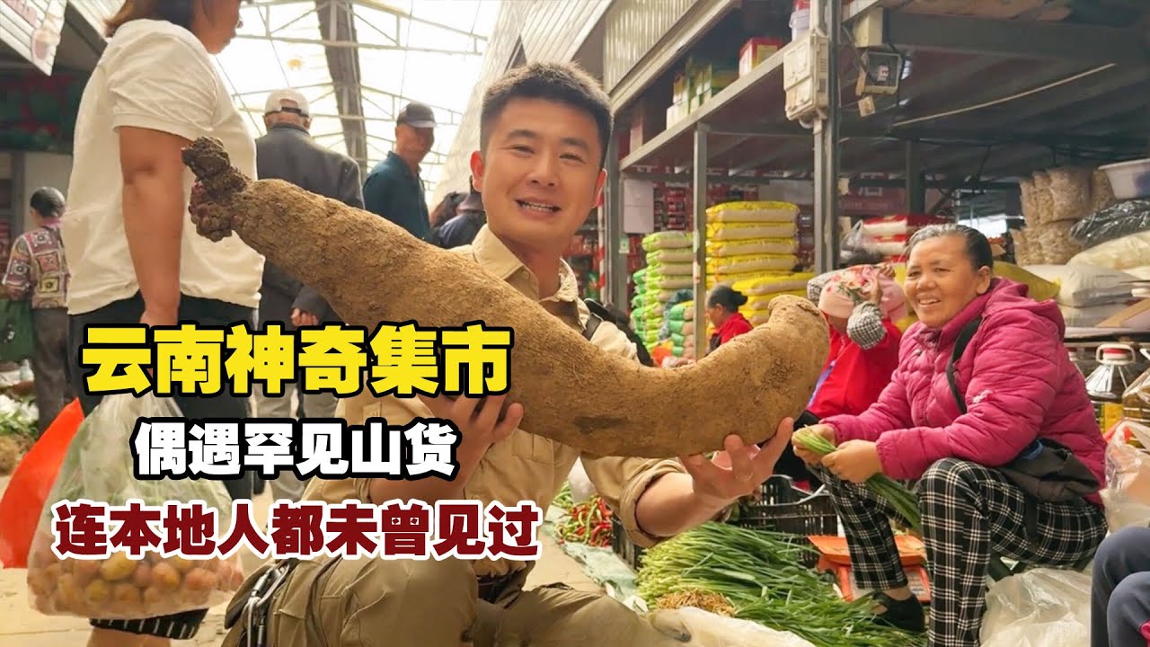 云南神奇集市，偶遇罕见山货，连本地人都未曾见过！ 【小白的奇幻旅行】