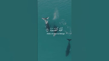 قُلْ هُوَ اللَّهُ أَحَدٌ || سورة الإخلاص || احمد العجمي