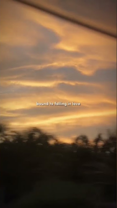 Download story wa | bound to falling in love