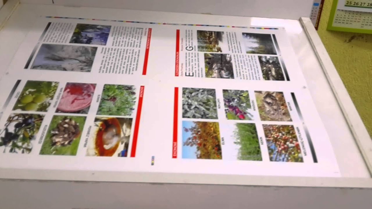 Heidelberg sm 52-2 özkul ofset