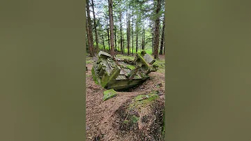 Touring the #Abandoned Cemetery from the largest ghost town in Canada, Anyox BC #shorts #GhostTown