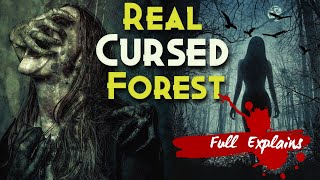 Most Mysterious Horror Movie   Forest Demon Curse Explained In Hindi