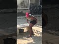 Lanzo todo por un viento #funny #viralshort #comedy #humor #broma #comedia #prank