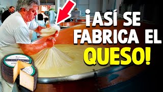 Cómo Se Fabrica El Queso? [Proceso En Fábrica]